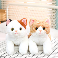 Poupée chat mignon poupée chaton poupée confort enfants dormir oreiller peluche poupée fille