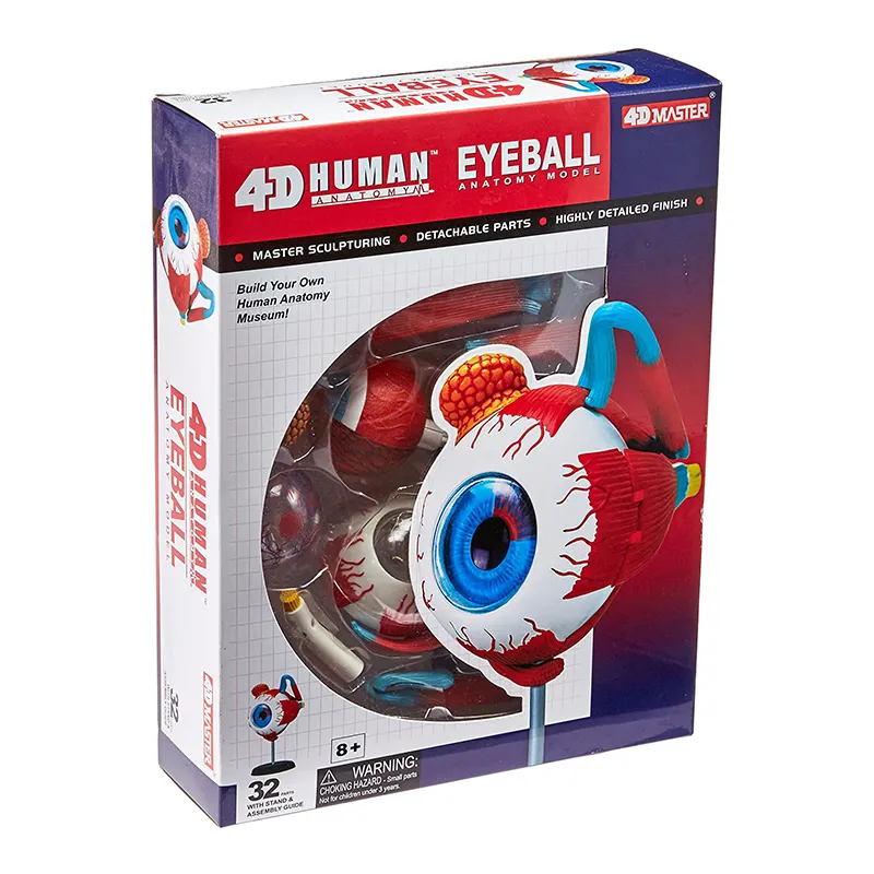 4D MASTER 32 Parts Human Eye Anatomy Model Puzzle Assembling DIY Toys