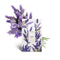 Air freshener bag to remove bad odor and keep health--air acne bag lavender