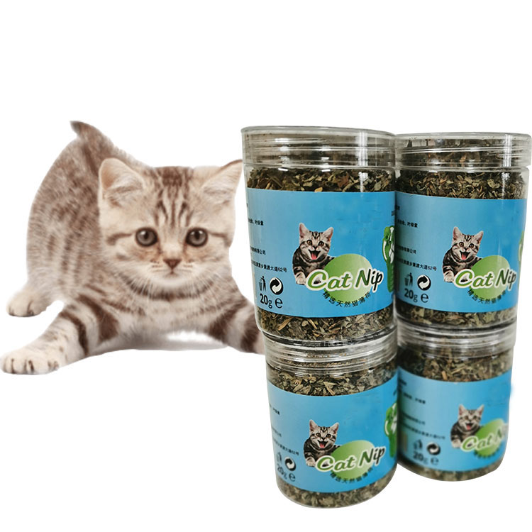 Кошачья мята для домашних животных, кошачья закуска, порошок, сушеные листья, кошачья мята, игрушечный наполнитель для кошек