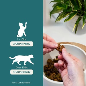 OEM/ODM Friandises à mâcher pour chats et chiens pour soutenir le système immunitaire - Renforcement immunitaire <span class=keywords><strong>naturel</strong></span> pour les compléments alimentaires pour la santé des animaux de compagnie - Product Image 3