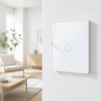 Sakelar Sentuh Dinding Standar EU Bingoelec Wifi Tuya Smart, Bekerja dengan Google Alex Zigbee, Sakelar Lampu Kaca Tekan untuk Rumah