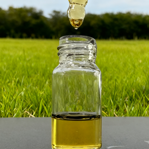 10% Botanisches Öl Reines natürliches Kräuter extrakt Öltropfen Fabrik Direkt vertriebs ergänzung Entspannendes Hanf samen öl - Product Image 3