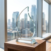 Trophée en cristal K9 poli en forme de goutte d'eau, vierge, personnalisable avec logo, pour récompenses, compétitions, plaques d'honneur et événements professionnels, vente en gros