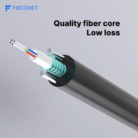 Kabel Optik Berlapis Baja GYXTW untuk Pemantauan Luar Ruangan (4/6/8/12) Core Single-mode dengan Selubung PE Hitam untuk Komunikasi