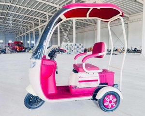 Urban Transportation's Low-Cost Vehicles for Passengers Leisure Carbon Steel Frame 3-Speed Gears Lead-Acid Battery - Product Image 1