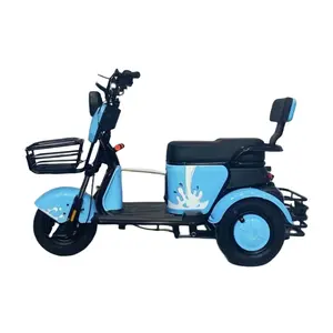 GYM-4 Bicicleta eléctrica barata para adultos con carga para hombre 3 ruedas Tuk 600 carga de la watt-800W 300-500kg triciclo eléctrico de ocio