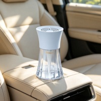 Ambientador Líquido de Lujo para Auto de 100 ml, Fragancia Duradera para Vehículo, Eliminador de Olores, Perfume para Auto, OEM ODM