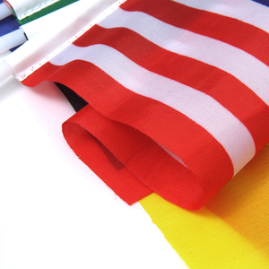 Bendera Tangan 100% Poliester untuk Dekorasi Bendera Iklan Di Seluruh Dunia Promosi Bendera Genggam - Product Image 5