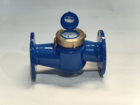 Chenshuo Rotary Vane Brass Stainless Steel Water Gauge Meter High Accuracy 2 Liquid Level Measurement Shandong LXS-65 ODM