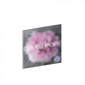 Triples pt.1 (อัลบั้ม wappen) อย่างเป็นทางการ kpop เกาหลีอัลบั้มซีดี - Product Image 2