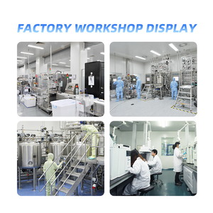 Poudre de Cyclodextrine Gamma en Gros Haute Pureté 99,9% Additif Alimentaire Agricole Certifié HALAL KOSHER Stock Complet - Product Image 5