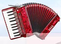 Akordeon Keyboard Portabel 22-Tuts 8-Bass Warna-Warni untuk Anak-Anak
