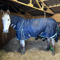Couverture d'écurie imperméable pour chevaux, en coton, rembourrage chaud, hiver, tissu ripstop, vente en gros