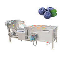 Automatische fruit- en groentezaadreinigingsmachine van roestvrij staal 304, wasmachine voor uien en garnalen met bubbeltechnologie