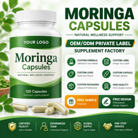 Capsules de Moringa en gros pour un soutien nutritionnel et énergétique quotidien, riches en vitamine C, calcium et protéines, antioxydant