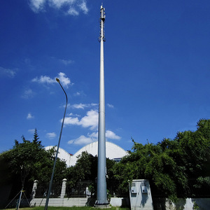 Monopole en acier de tour de Wifi de télécom de Cdma sans fil de télé<span class=keywords><strong>communication</strong></span> avec des télécom de prix concurrentiel - Product Image 3