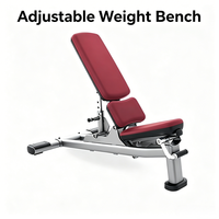 Banc de musculation professionnel pliable multi-angles en acier robuste pour entraînement intensif