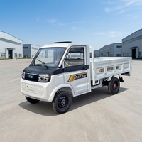 Mini camion cargo à 2 portes, prix bas en Chine, moteur 2000W, véhicule utilitaire, vitesse maximale de 50 km/h, autonomie de 100-120 km