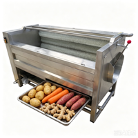 Laveuse industrielle à brosses pour légumes, machine à laver et peler les pommes de terre, les patates douces et le gingembre en acier inoxydable 304