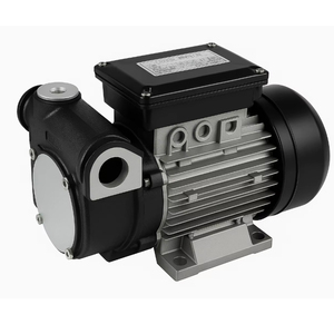 Pompe à <span class=keywords><strong>carburant</strong></span> électrique robuste IP54 110V 220V en fonte à aubes pour transfert de diesel, kérosène et huile et distribution industrielle - Product Image 3