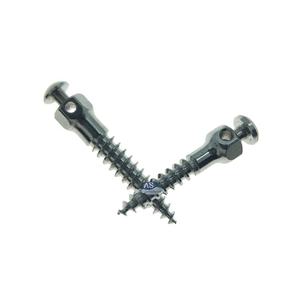 Viti ortodontiche Driver materiali accessori impianto dentale endosseo - Product Image 5