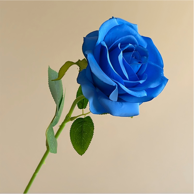 09-Bleu saphir