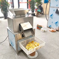 Grote Dubbelrolpers voor Sinaasappelen, Citroenen en Passievruchten, Goodtaste RVS-sapcentrifuge
