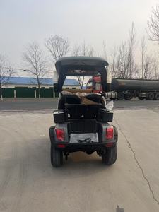 WELIFTRICH, nuevo diseño, 2 plazas, asiento individual, totalmente impermeable, Mini carritos de golf eléctricos con Batería de 60V a la venta - Product Image 5