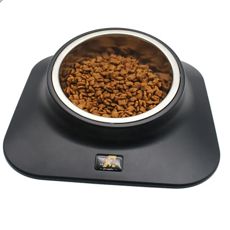 Automatic cat feeder wet food