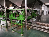 Machine commerciale automatique de décorticage et de cassage des noix de pécan et des noix noires