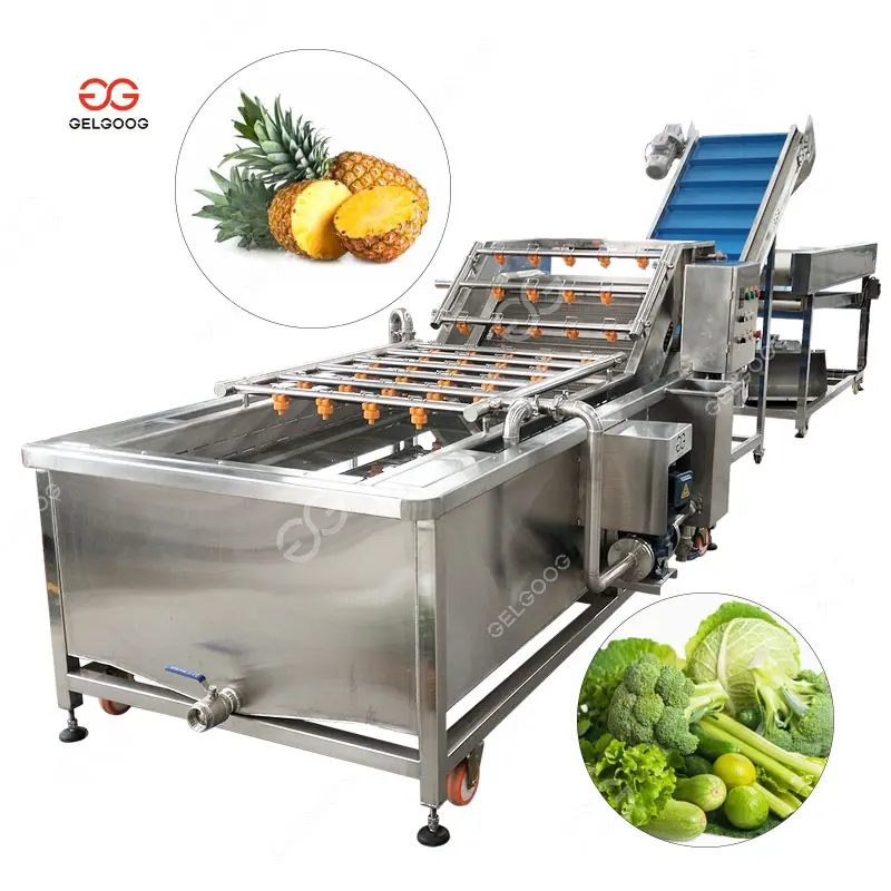 Ananas Fruit Wasmachine Apparatuur Ozon Groene Groente Fruit Luchtbel Wasmachine