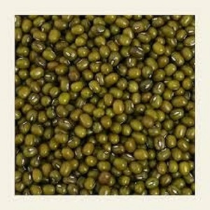 Haricots Verts Indiens Moong Beans 2026 Qualité Export Fournisseur en Gros Alimentation Saine Grade Alimentaire Marque SD Emballage en Fût - Product Image 2