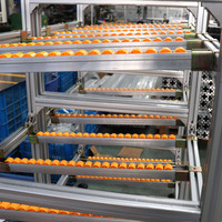 Rel Rol Plastik untuk Sistem Rak Pipa, Rel Aliran Aluminium, Konveyor Roda Rol Plastik
