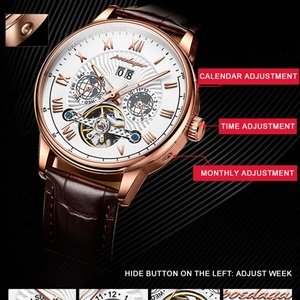 POEDAGAR 1409 Montre-bracelet automatique de luxe étanche lumineuse avec date et jour, bracelet en cuir, montre homme, tourbillon, montres mécaniques tendance - Product Image 4