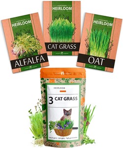 Kit d'herbe en croissance pour chat Offre Spéciale ensemble d'animaux de Style design pays/européen <span class=keywords><strong>jardin</strong></span> extérieur sol bureau en vrac votre ami félin - Product Image 1