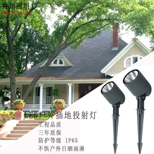 Projecteur LED de sol 10W, étanche, pour extérieur, jardin, paysage, éclairage ponctuel et diffus - Product Image 5