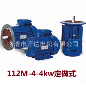 มอเตอร์แบบอะซิงโครนัสสามเฟส YE3-112M-4-4KW พร้อมตัวแปลงความถี่  แบบสั่งจองล่วงหน้า มีสินค้าในสต็อก - Product Image 5