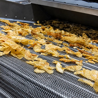 Ligne de production industrielle entièrement automatique pour la transformation des chips de pommes de terre : lavage, blanchiment, friture, assaisonnement, emballage – Haute productivité