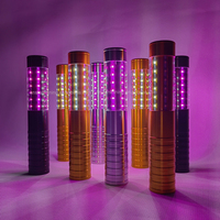 Fournisseur d'usine : Éclairages LED pour bouteilles, rechargables, pour service de champagne, lumières LED stroboscopiques pour boîtes de nuit et bars