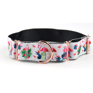 Venta al por mayor Durable Cómodo Entrenamiento Pet <span class=keywords><strong>Collar</strong></span> <span class=keywords><strong>Fish</strong></span> Pattern Martingale <span class=keywords><strong>Collar</strong></span> para perros - Product Image 5