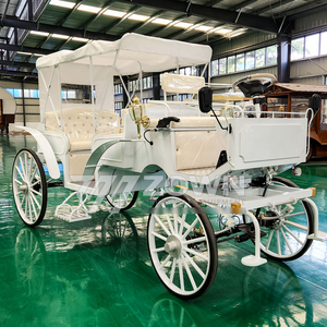 Carroza Turística Eléctrica Clásica ZOWN, Carro Real sin Caballos, con Batería, para Zonas Turísticas, Resorts, Bodas y Celebraciones - Product Image 5