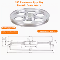 Polea de Almacenamiento D200 con Rodamiento 6005