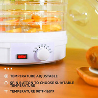 Déshydrateur Électrique 12 Niveaux pour Légumes et Fruits, Idéal pour Friandises pour Animaux et Épices, Sans BPA, Qualité Alimentaire, Machine de Séchage Domestique