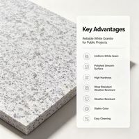 Granite naturel, type dalle, vente en gros chinoise, panneaux décoratifs en pierre pour murs extérieurs sur mesure