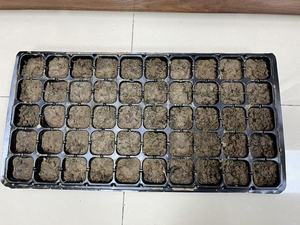 Cà chua/dưa chuột cây giống Vườn Ươm khay 72-Cell hình chữ nhật Pet-Easy-transplant cắm khay cho rau trang trại - Product Image 2
