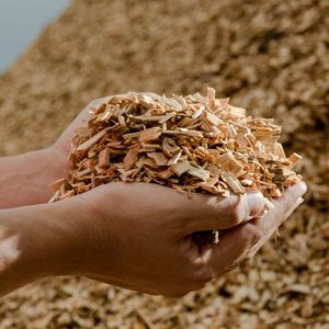 Embalaje OEM a granel del fabricante: Virutas de madera natural para calderas de biomasa y producción de tableros MDF, los más vendidos para exportación. - Product Image 2