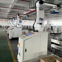 Robot palettiseur automatique pour les applications alimentaires, des boissons, des textiles, du tabac, des produits chimiques - Bouteilles, cartons, sacs, plastique, papier