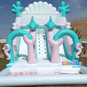 Toboganes acuáticos Patio trasero Inflable Comercial Inflable Tobogán seco Blanco Inflable Tobogán seco húmedo y pozo de bolas - Product Image 3