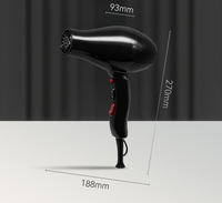 Sèche-cheveux AC professionnel à grande vitesse Coup doux et inoffensif pour la maison et l'hôtel Nouveau style électrique en plastique pour l'extérieur